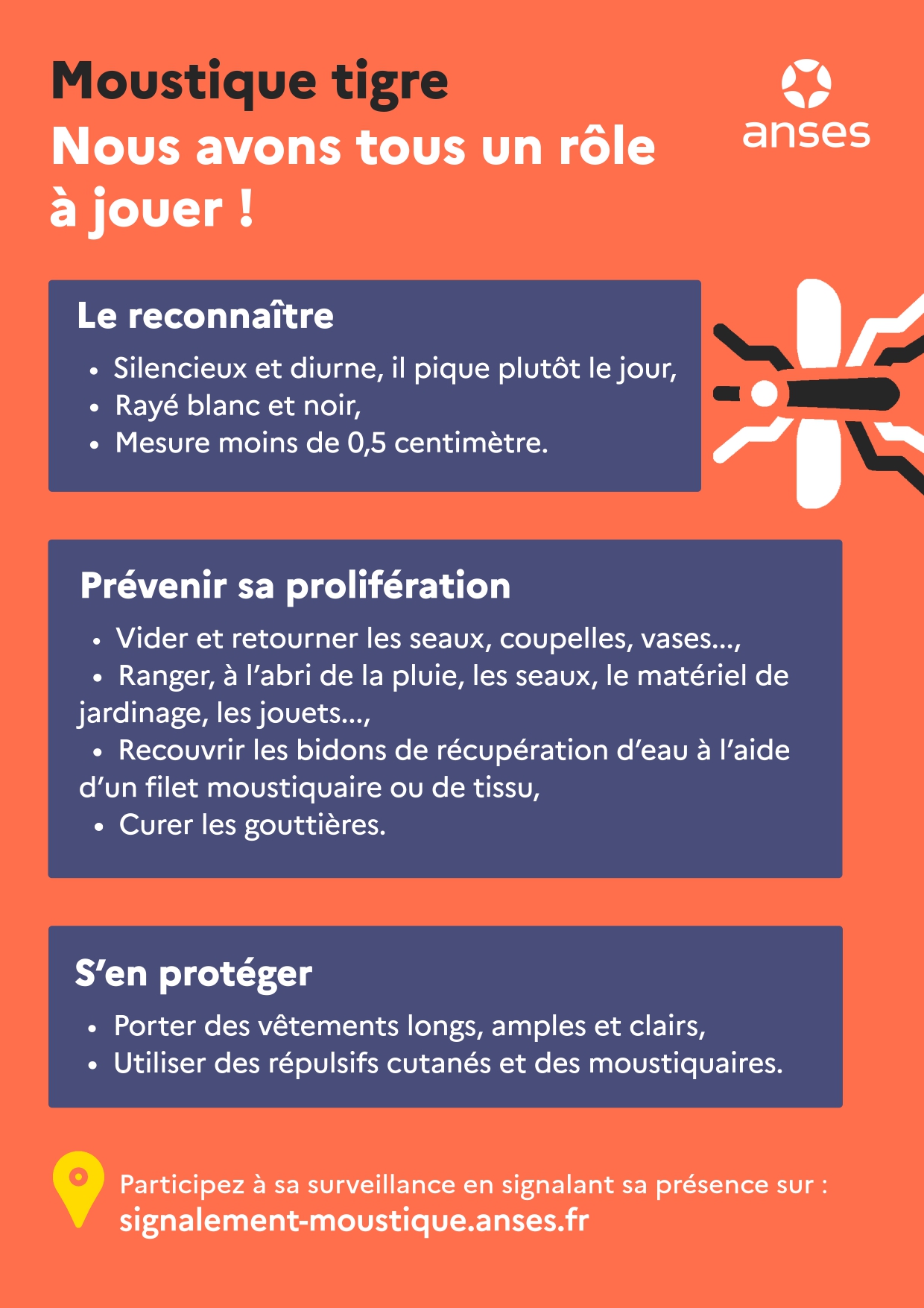 Affiche moustique