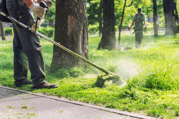 Photo illustrant des agents communaux au travail 